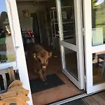 Rechhof Urlaub Bei Tieren Schalkenbach
