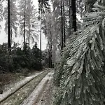 Rechhof Urlaub Bei Tieren * Schalkenbach