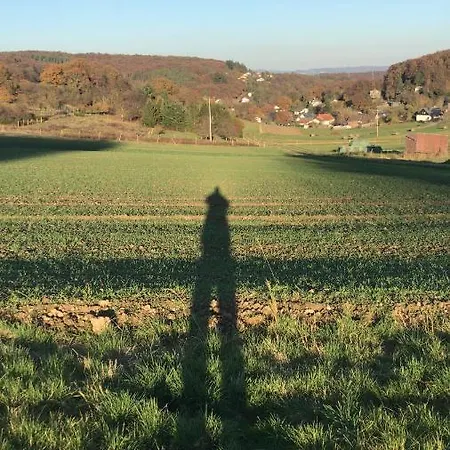Rechhof Urlaub Bei Tieren * Schalkenbach