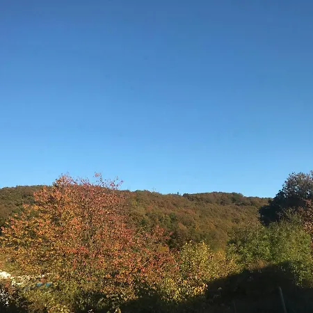 Rechhof Urlaub Bei Tieren * Schalkenbach