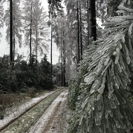 Rechhof Urlaub Bei Tieren * Schalkenbach