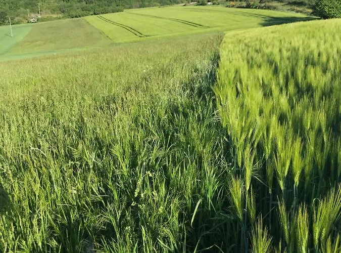 Rechhof Urlaub Bei Tieren Διαμέρισμα