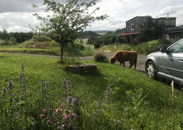 Rechhof Urlaub Bei Tieren Apartamento Schalkenbach