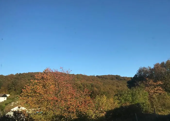 Rechhof Urlaub Bei Tieren * Schalkenbach