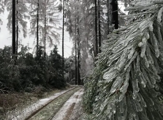 Rechhof Urlaub Bei Tieren * Schalkenbach