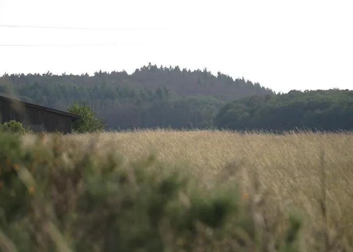 Rechhof Urlaub Bei Tieren Apartamento