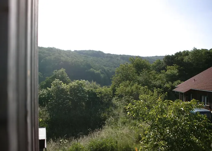 Apartamento Rechhof Urlaub Bei Tieren Schalkenbach