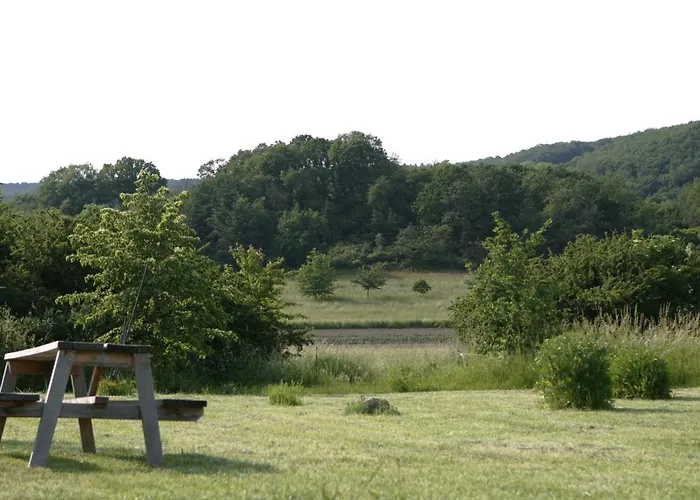 Rechhof Urlaub Bei Tieren Schalkenbach